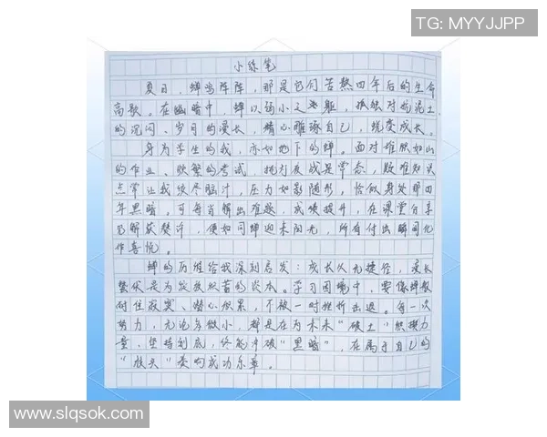 何思雨的成长之路：从校园到职场的蜕变与追寻