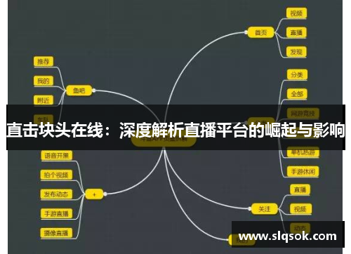 直击块头在线：深度解析直播平台的崛起与影响